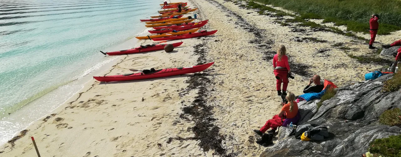 Teambuilding, kayaking in Senja, Northern Norway 