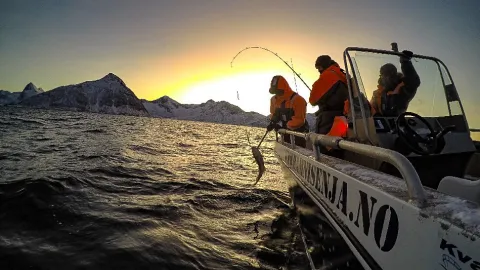 Fishing