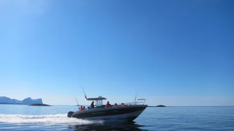 Fishing