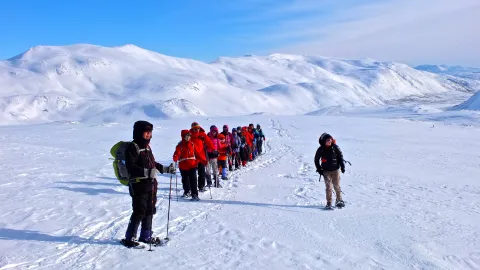 Snowshoeing