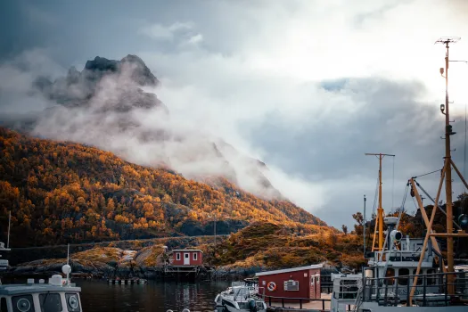 Autumn