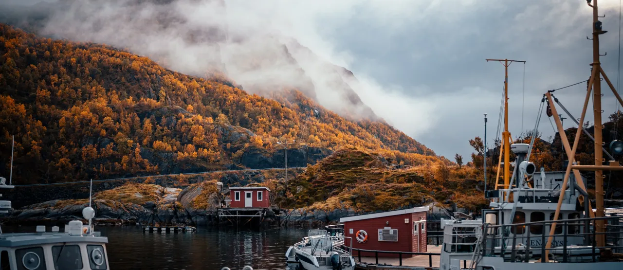 Autumn cropped