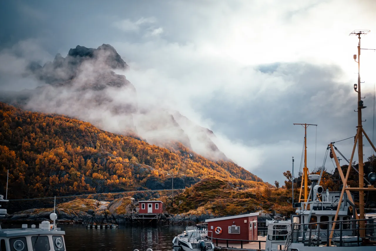 Autumn