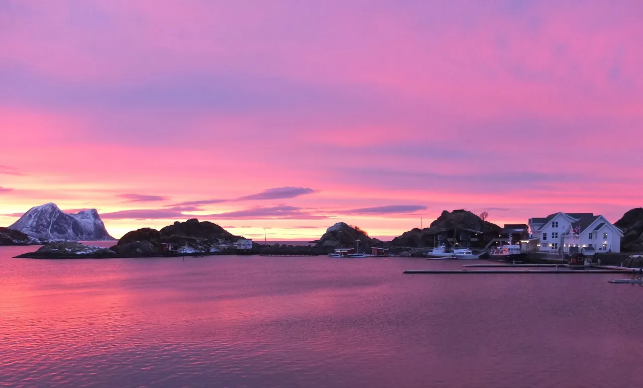 Hamn en rosa vinterdag