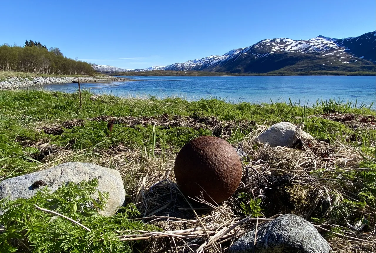 Spring shoreline Senja