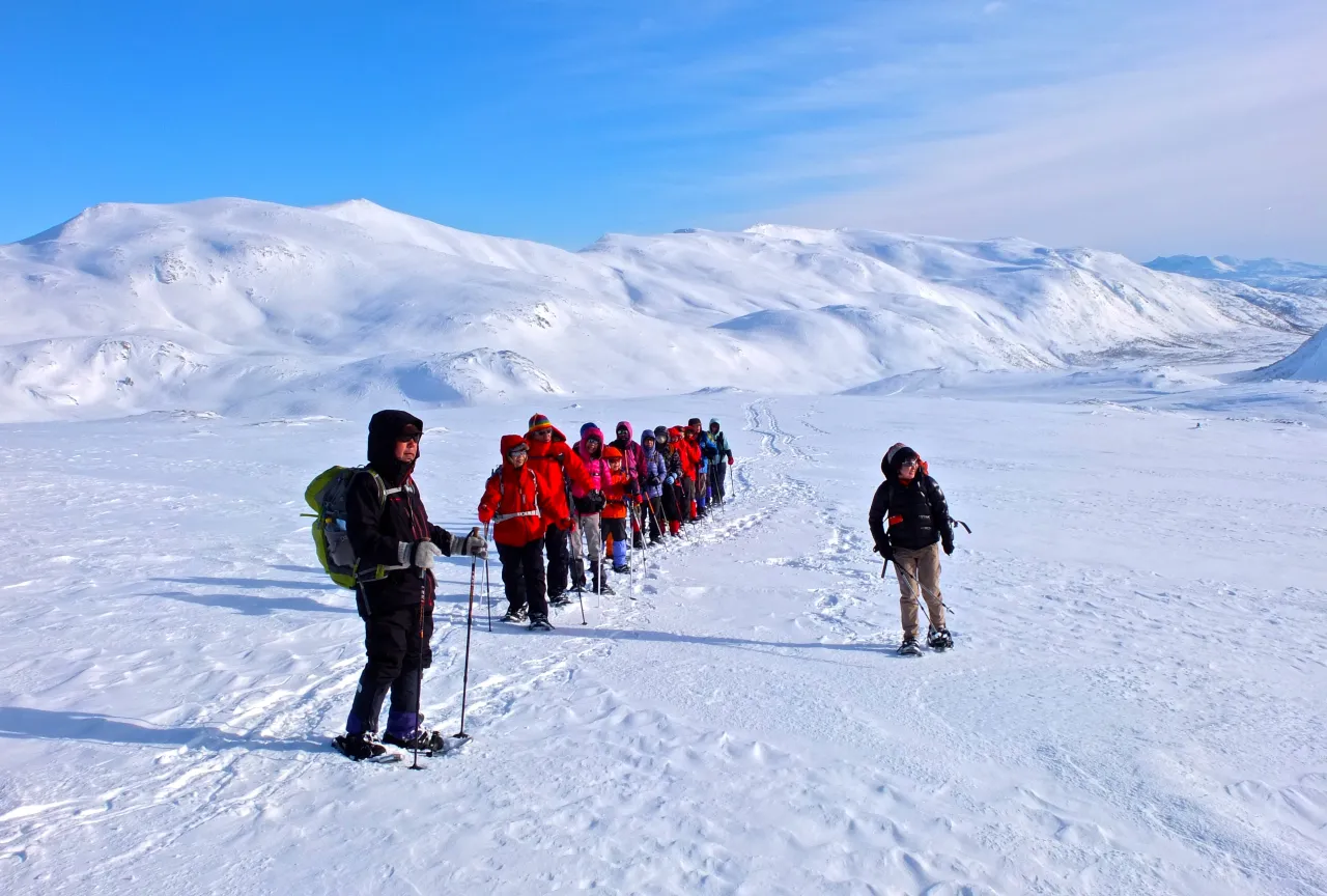 Snowshoeing in Senja