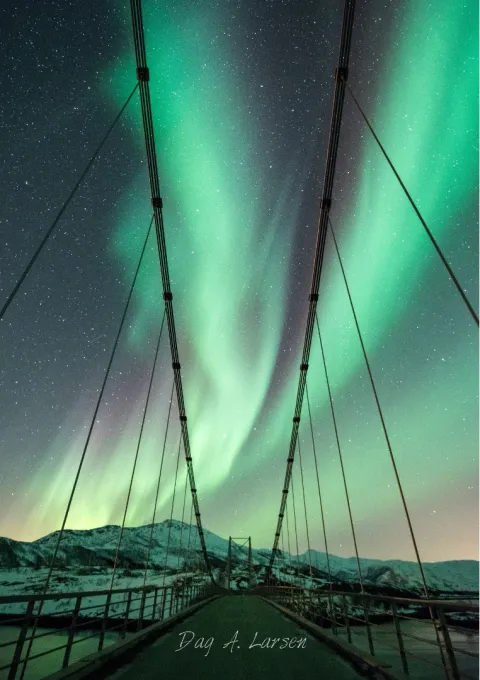 Northern lights road senja