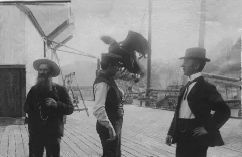 Lund ørn history hamn